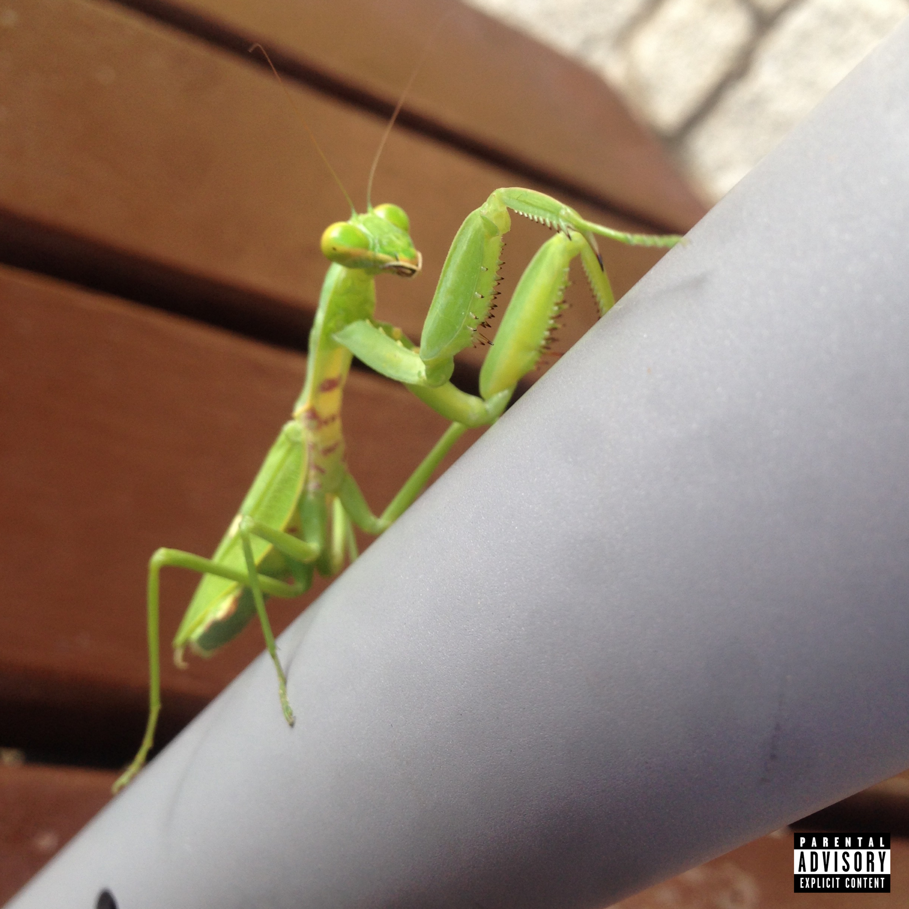 Zhuang Zhuang Mixtape cover: a green praying mantis on a white railing